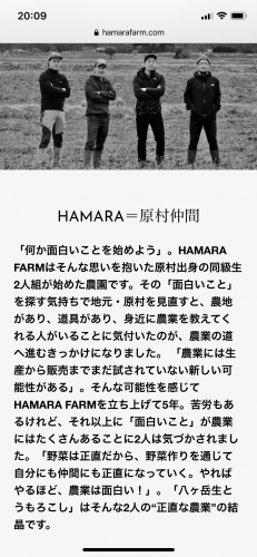 HAMARA FARM ｜福岡天神の風水開運カウンセリング